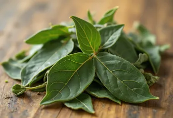 Tørkede laurbærblad på trekjøkkenbenk, naturlig form